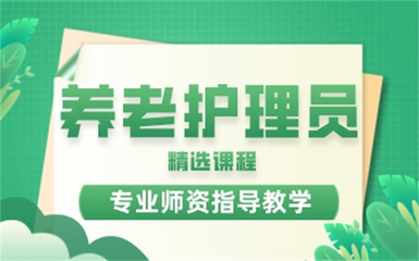 2024年度十大养老护工培训机构综合排名与服务解析